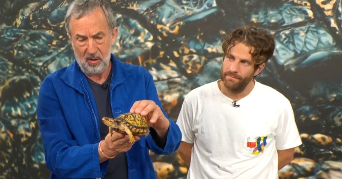 "Monsters of God" creators on the deep, dark world of reptile smuggling