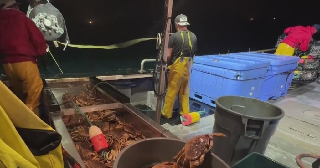 Niño bringing changes to Northern California ocean conditions and marine life