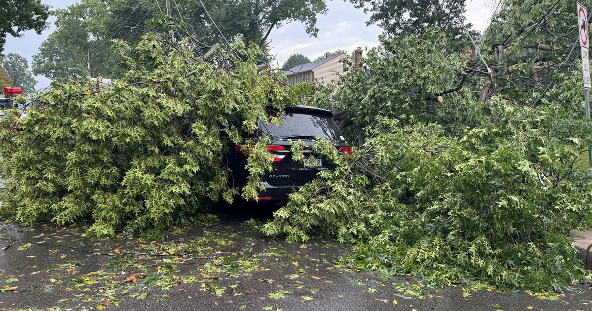 Family rescued by bystanders after large tree falls on car during storms in Bethel Park: 