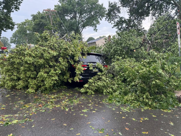 bethel-park-car.jpg 