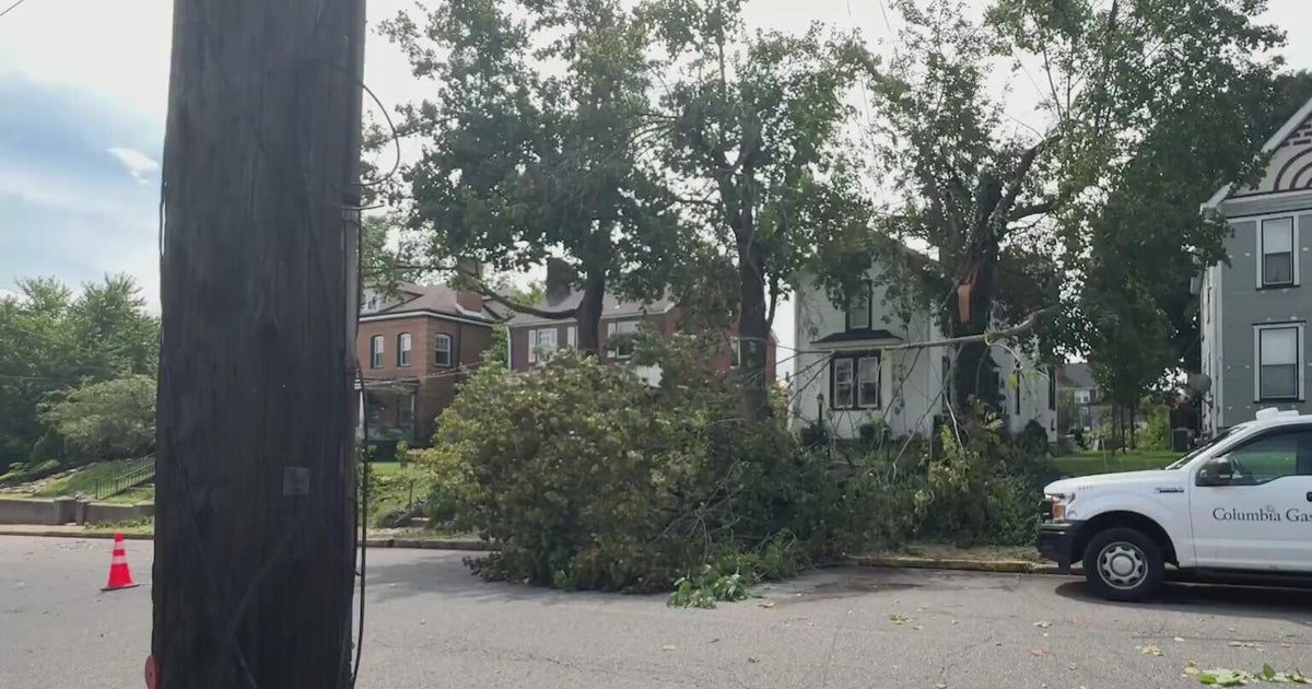 Massive tree blocks Beaver County street after powerful storms