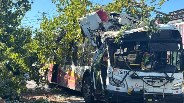 tree-falls-onto-bus-in-reisterstown.jpg 