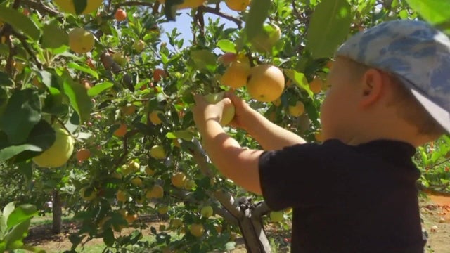 i-apple-hill-crop-not-kmaxg7ld.jpg 