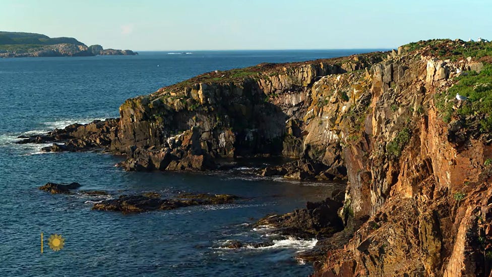 Nature: Newfoundland