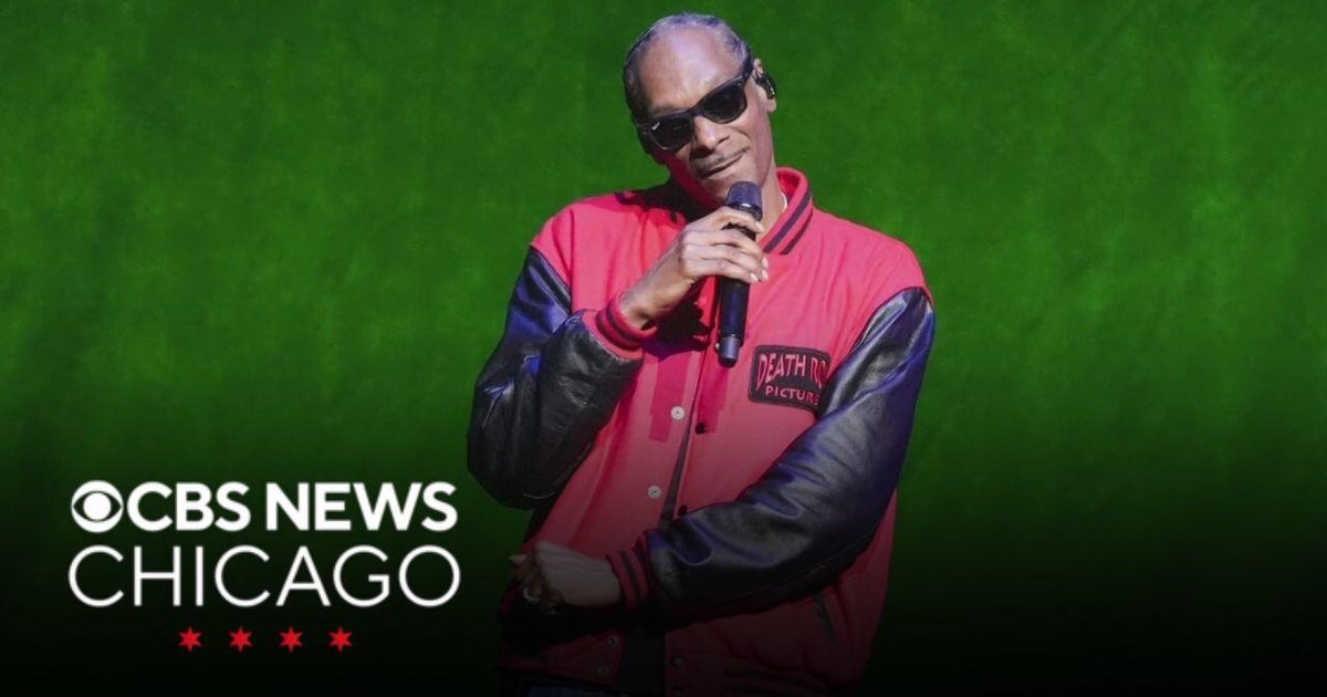 Snoop Dogg seeking taste tester for ice cream brand