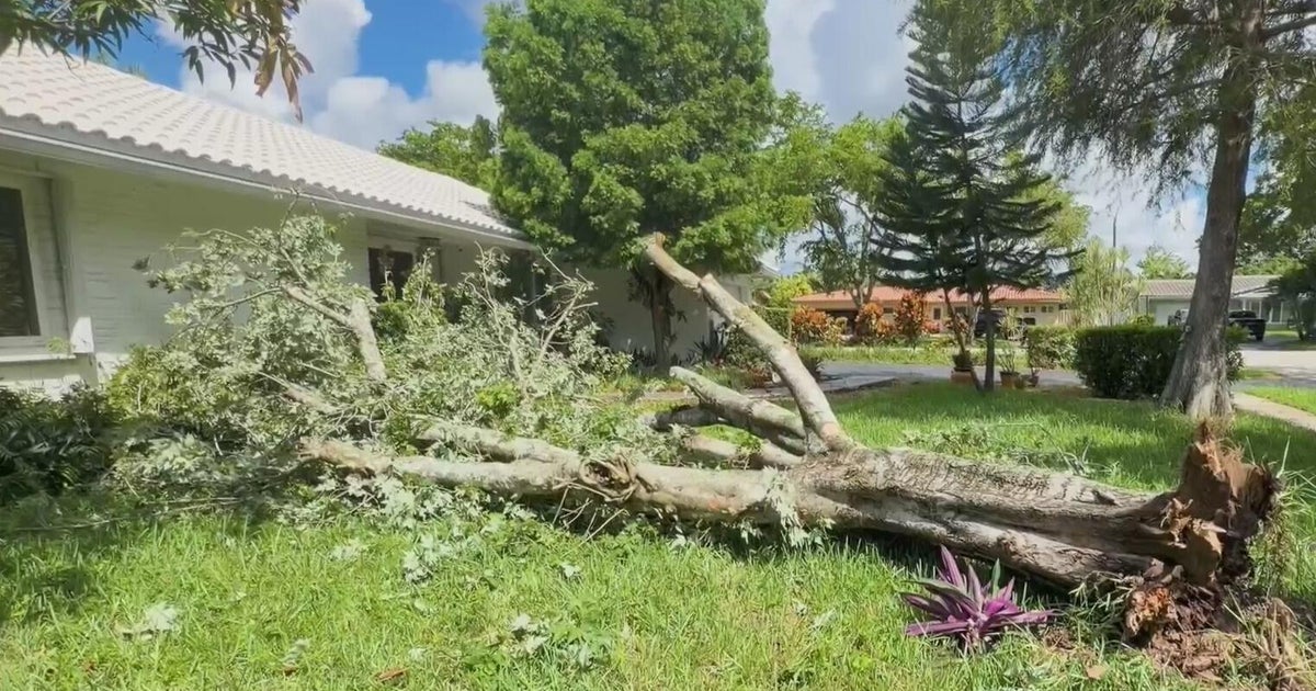 Storms rip through Broward neighborhood, toppling trees and knocking out power to 9 homes