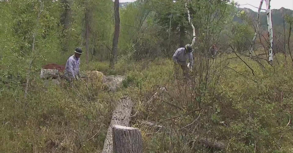 Wildfire mitigation work paid for with tax dollars going on all around Aspen