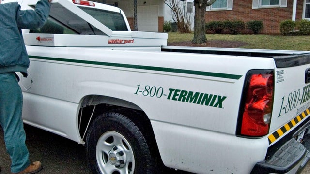 terminix.jpg 