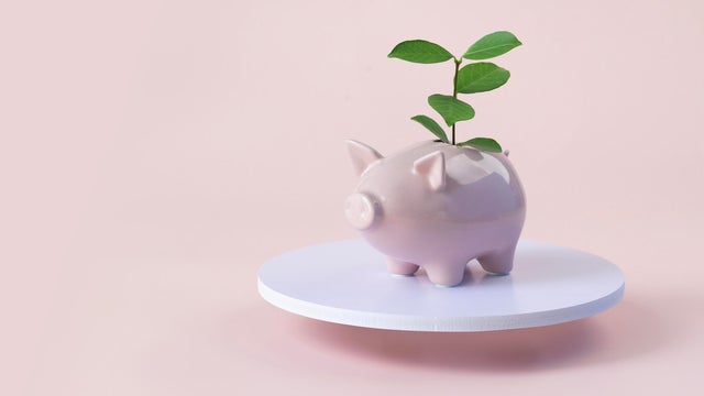 Financial growth concepts still life on pink background. 