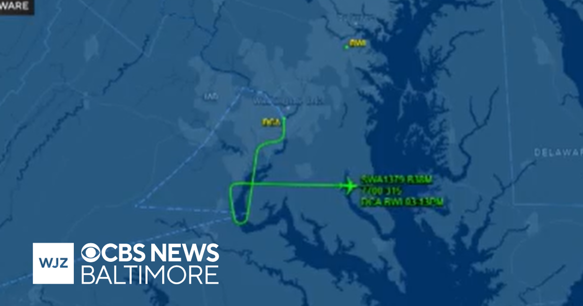 Southwest flight safely diverted to BWI after bird strikes plane