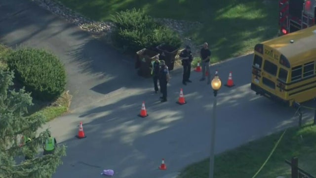 Frankfort crash school bus and pedestrian 