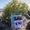 3 men convicted of killing American, Australian surfers in Mexico