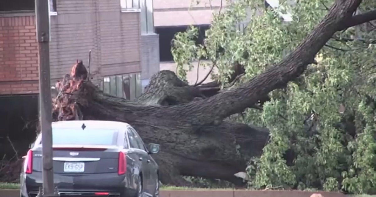 Chicago offering up to $15,000 in assistance for damage from severe storms in 2023 and 2024