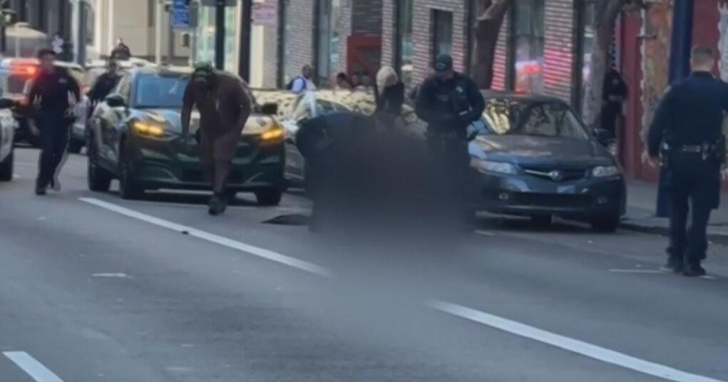 Pit bull attacks woman in San Francisco, leaving her with life-threatening injuries