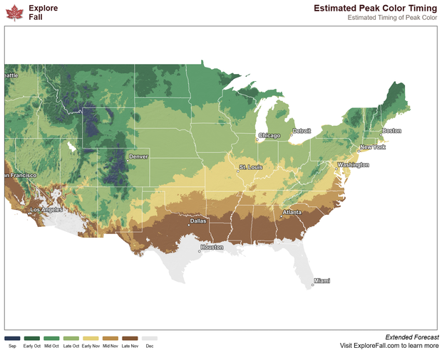 fallfoliagemap-2.png 