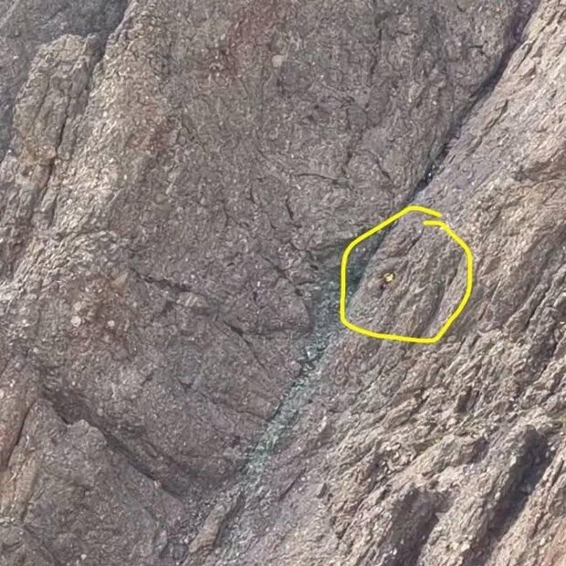 crestone-needle-climber-fall-custer-county-search-and-rescue.jpg