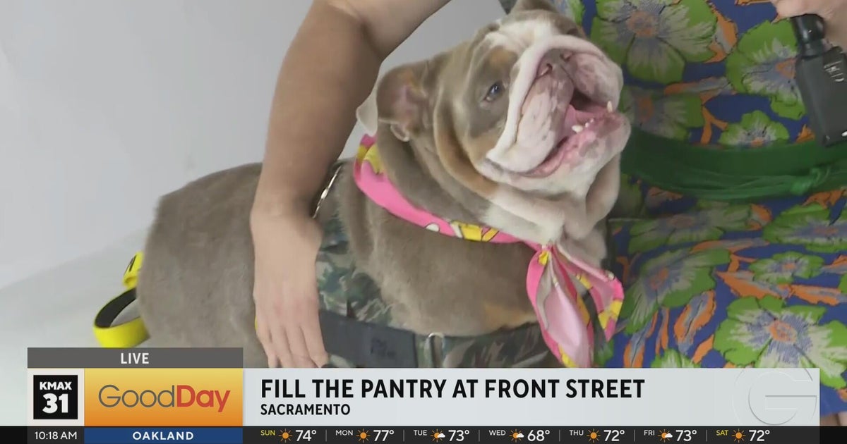 Help fill the pantry at Front Street Animal Shelter, 10am
