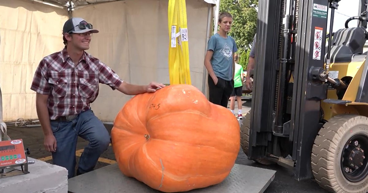 Good gourd! A visit to the pumpkin capital of the world