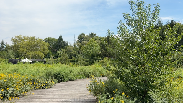 Williamsburg's former Naval Cemetery becomes NYC's first internationally accredited botanic garden