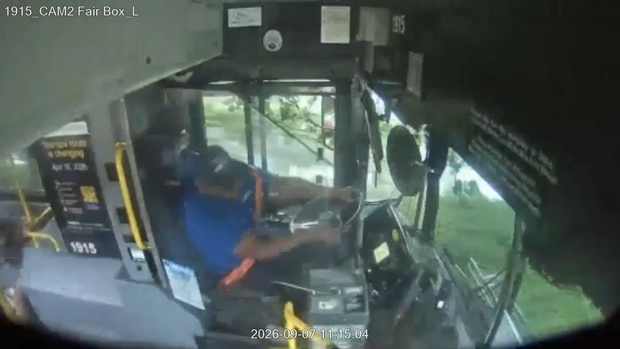 marta-crash-1.png