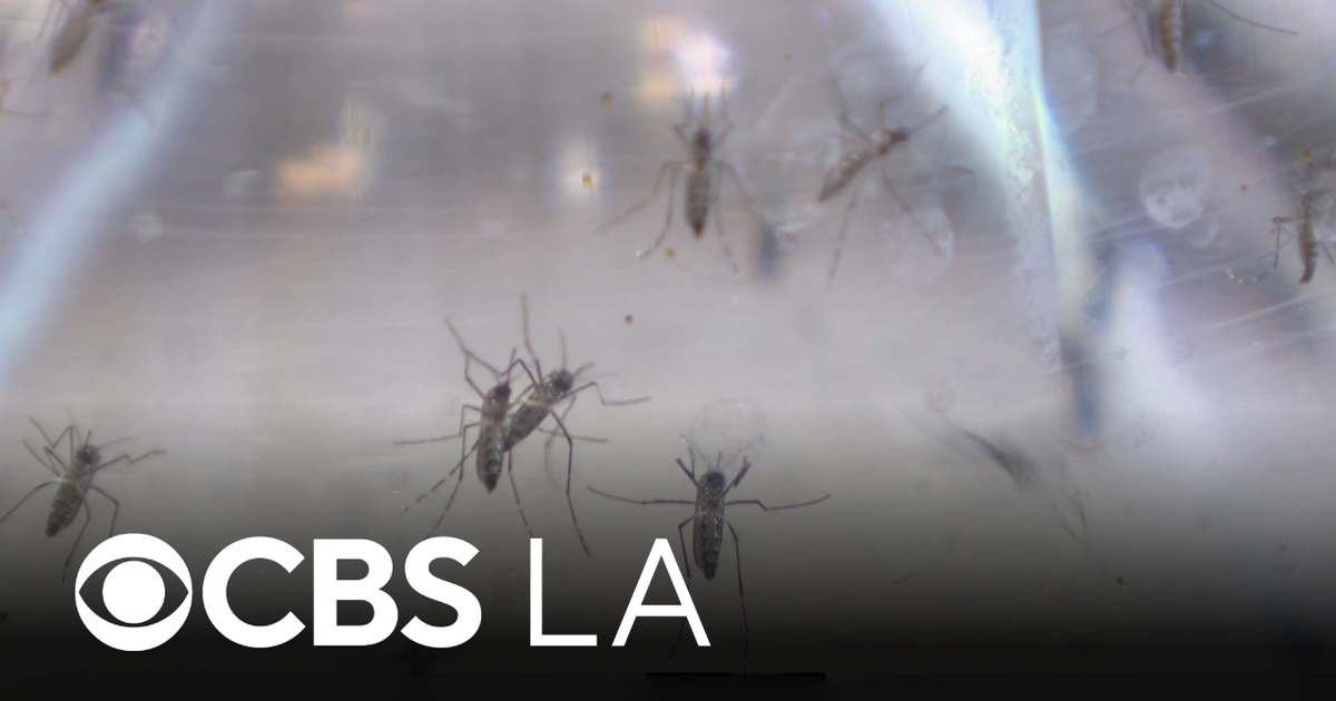 Orange County vector control officials West Nile virus threat is ...