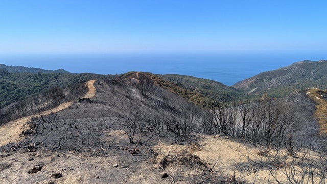 plaskett-fire-big-sur-091726.jpg 