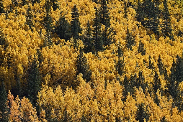 Guanella Pass