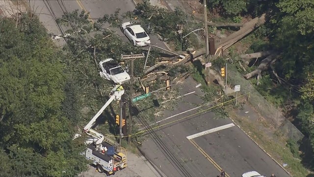 Chopper image of tree blocking road after it fell on 2 cars on Belmont Avenue in Bala Cynwyd 