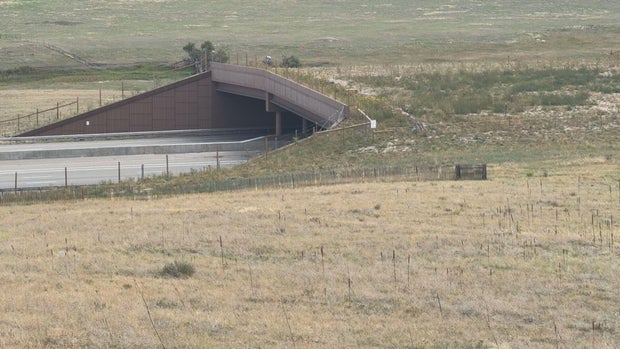 i-25-wildlife-overpass-10pkg-transfer-frame-840.jpg 