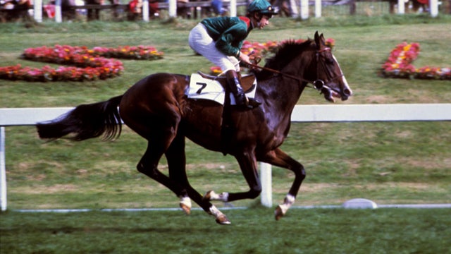 Horse Racing - St Leger - Doncaster 