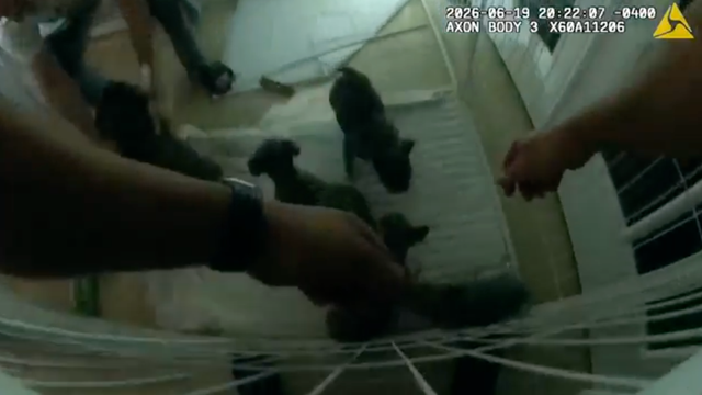 screenshot-2026-09-18-at-10-37-26-am.png 