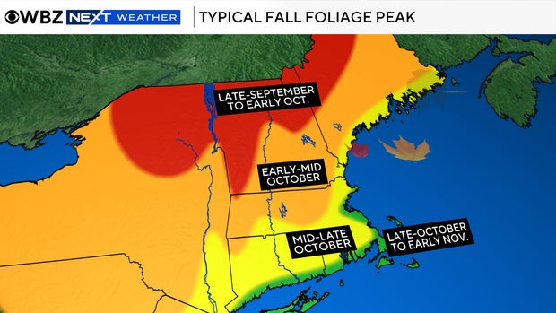 typical-foliage.jpg