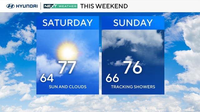 z-weekend-forecast-bug-safe.png 