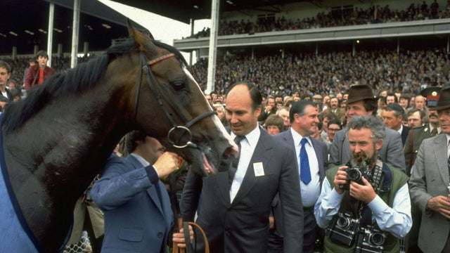 shergar-video-wertheim.jpg 