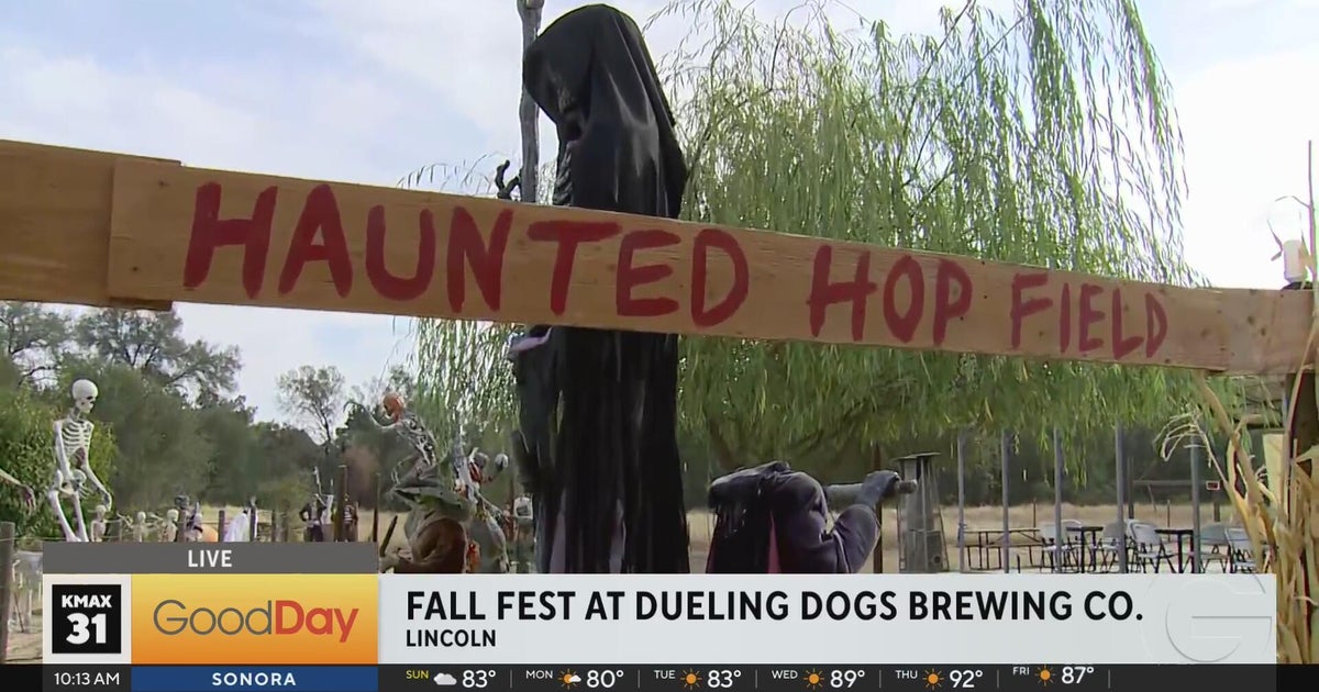 Fall Fest at Dueling Dogs Brewing Co. features a haunted hops field ...