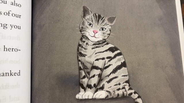 hudson-hfr-pkg-cat-saves-lives-childrens-book-092226-cvtseq-transfer-frame-3268.jpg 
