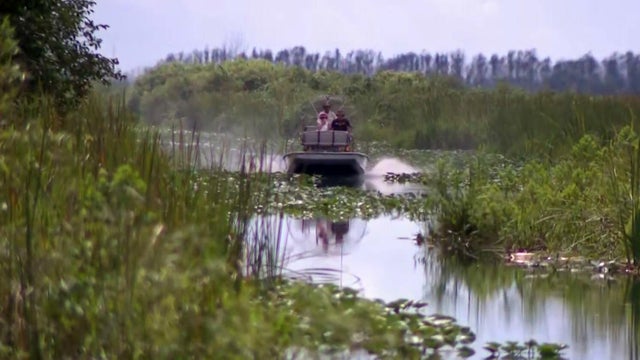 cbsmiami-florida-everglades-rain-1.jpg 