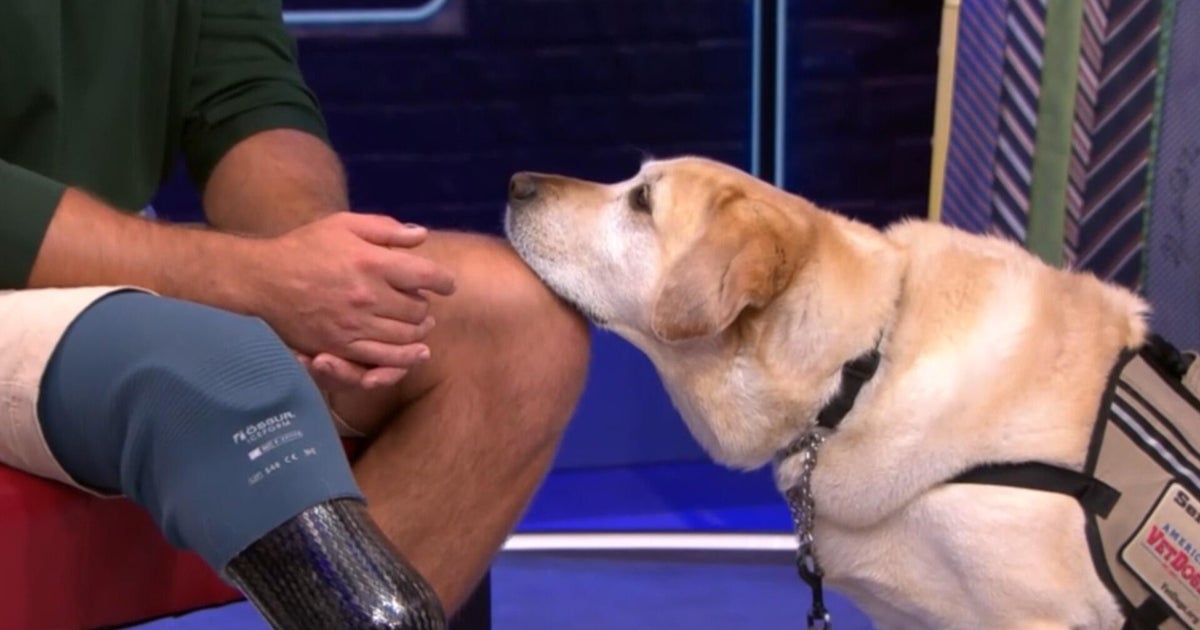 U.S. Mint and America's VetDogs unveil commemorative coins honoring service dogs