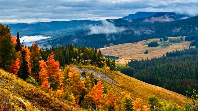thumbnail-2000px.jpg 