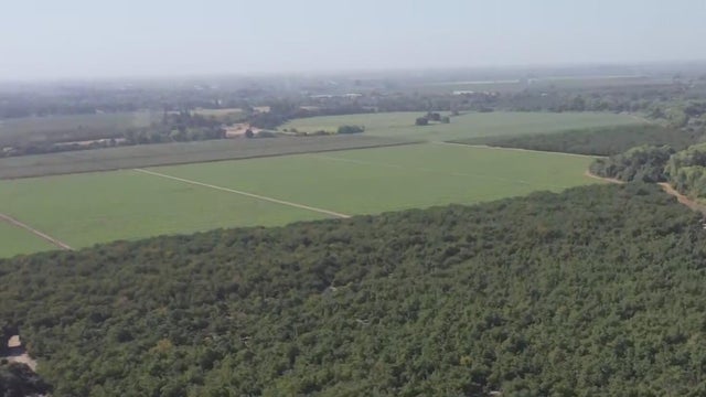 riverbank-proposed-development-site.jpg 