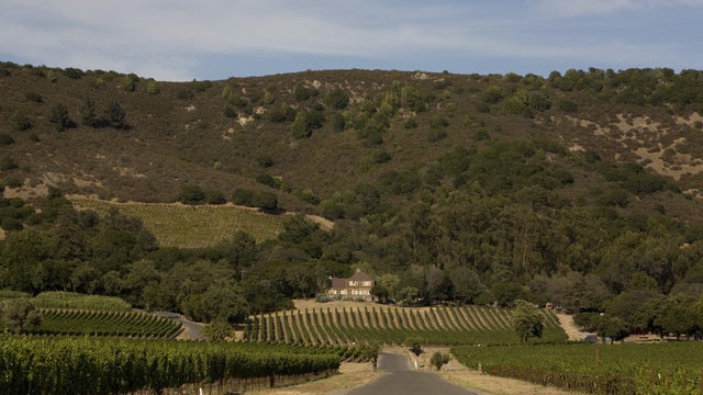 Gundlach Bundschu Winery in Sonoma, California 