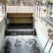 Election year "poop water" claims lead wealthy suburb to drop recycling plan
