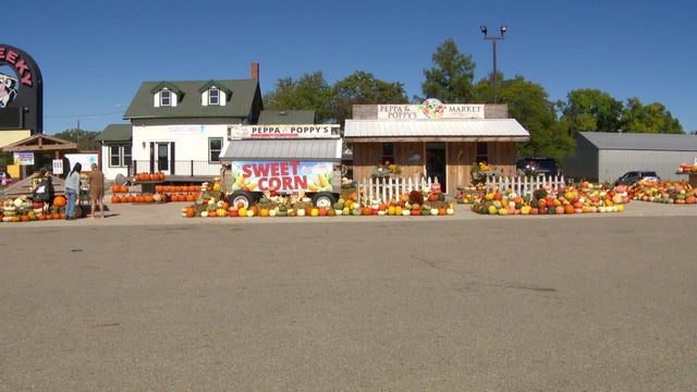 4p-pkg-mn-farm-stands-wccobcbm.jpg 