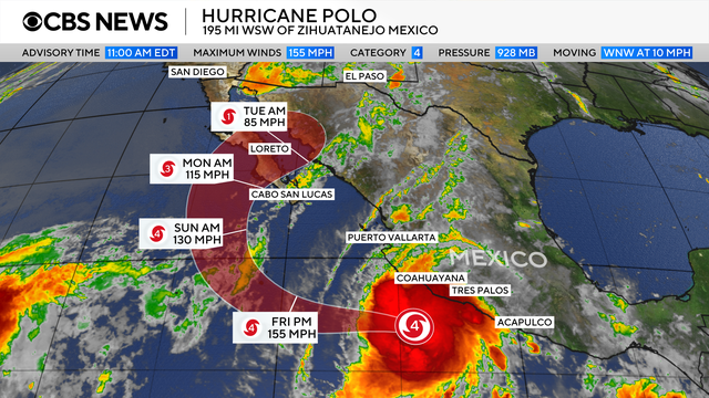 hurricane-polo.png 