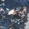 Wild high-speed chase causes chaos in Florida