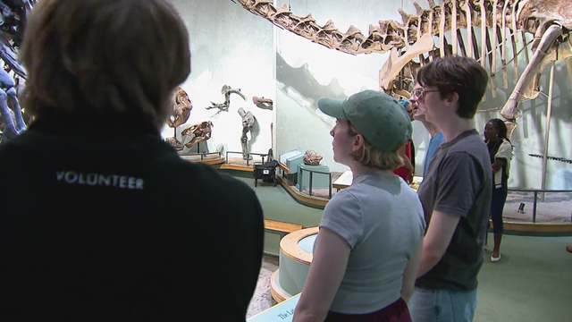 dinosaur.png 