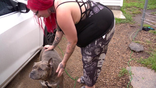10p-sotvo-dog-walker-attack-setup-wccobcfs.jpg 