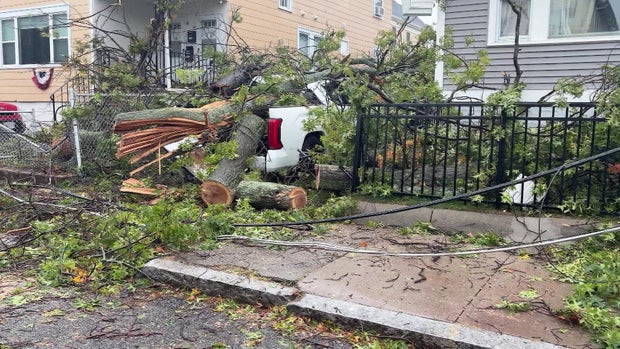Nor'easter Medford