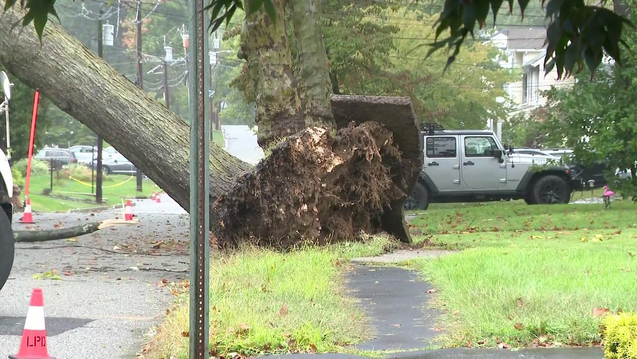 Nor'easter brings down trees, causes flooding in New York, New Jersey area