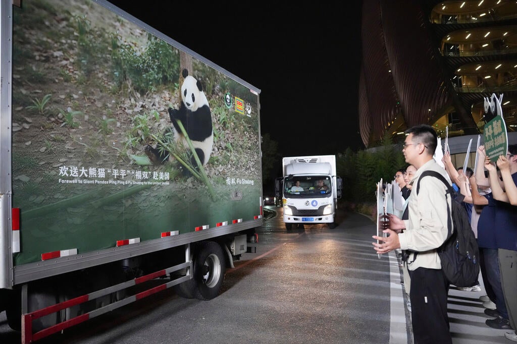 China US Pandas 